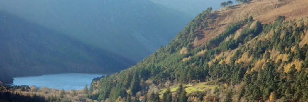 Wicklow