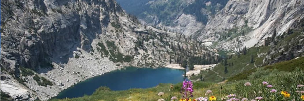 Parque Nacional Secuoya - Ca