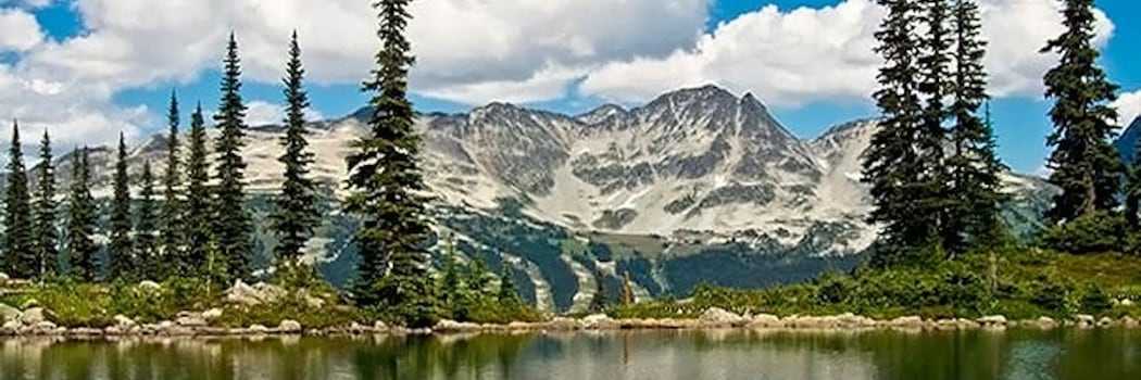 Whistler
