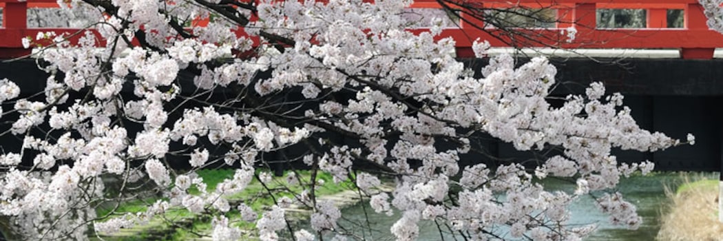 Takayama