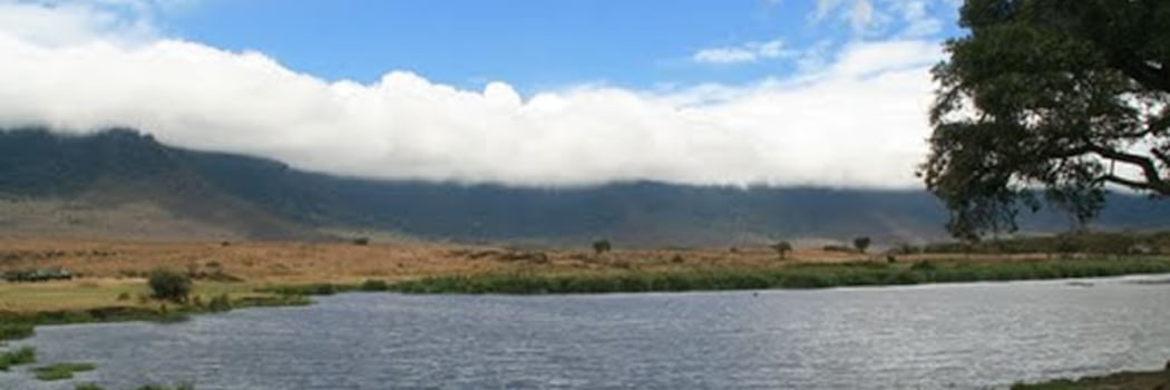 Ngorongoro
