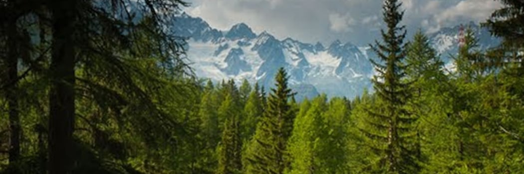 Aosta