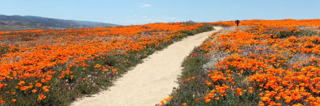 Lancaster - Ca