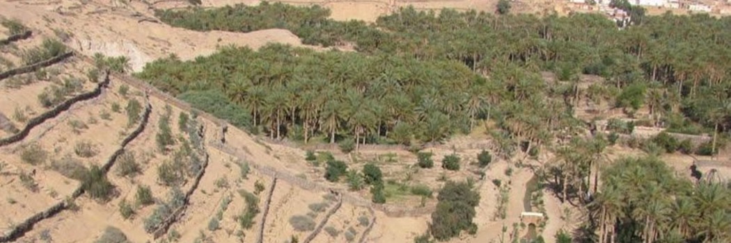 Nefta