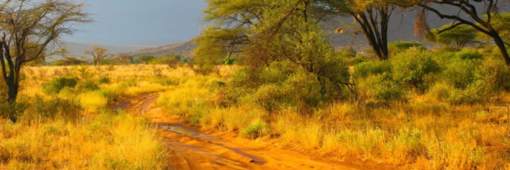 Samburu