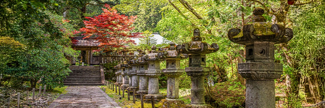 Nikko