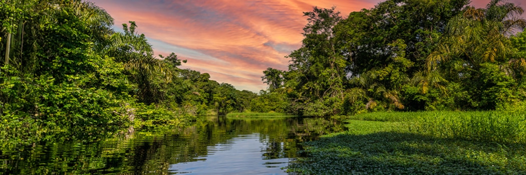 Tortuguero