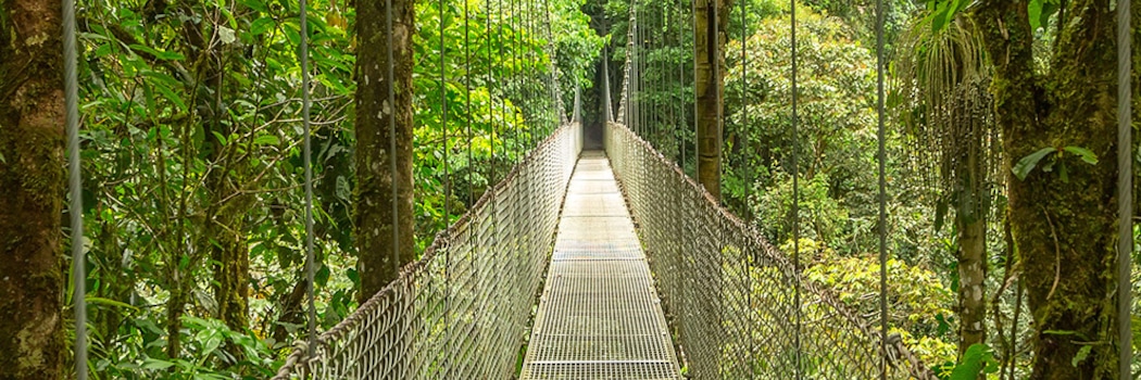Monte Verde