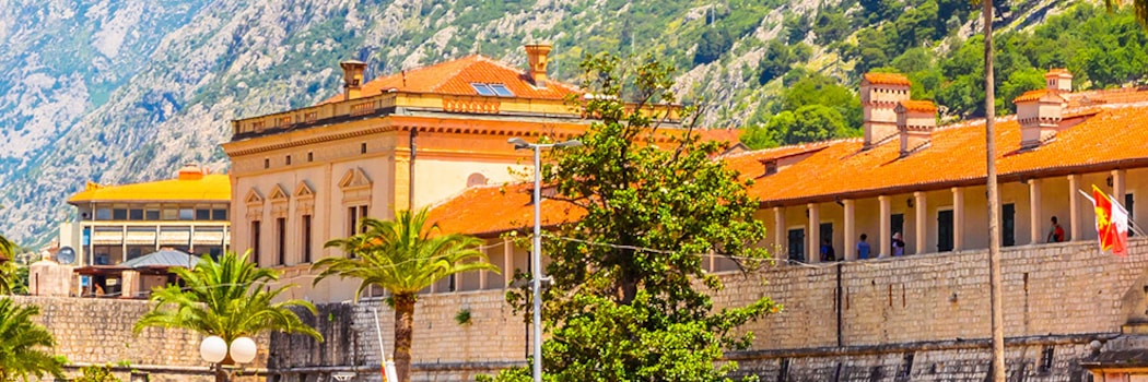 Kotor