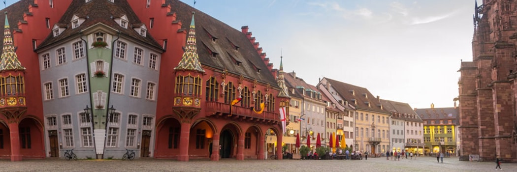 Friburgo de Brisgovia