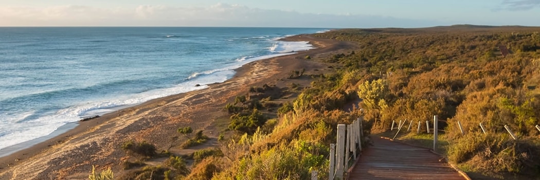 Peninsula Valdes - Chubut