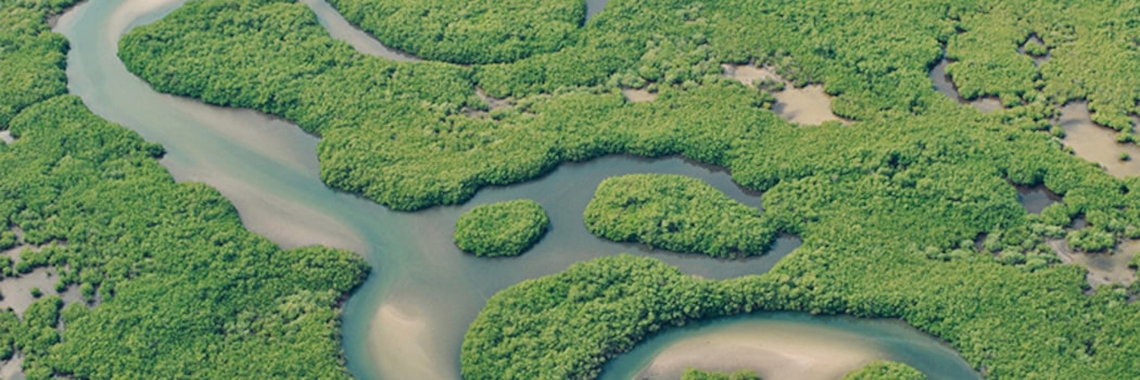 Île de Sangomar
