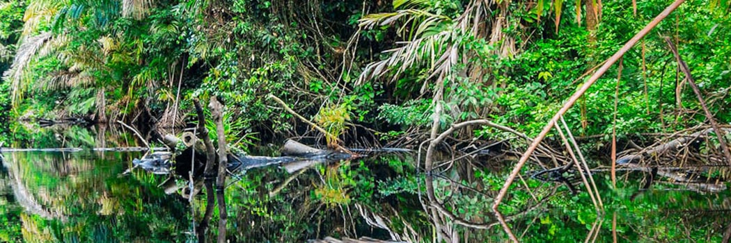 Parque Nacional Tortuguero