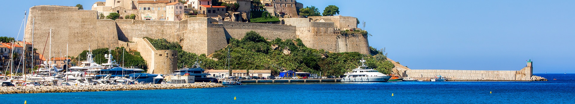 Calvi Calvi