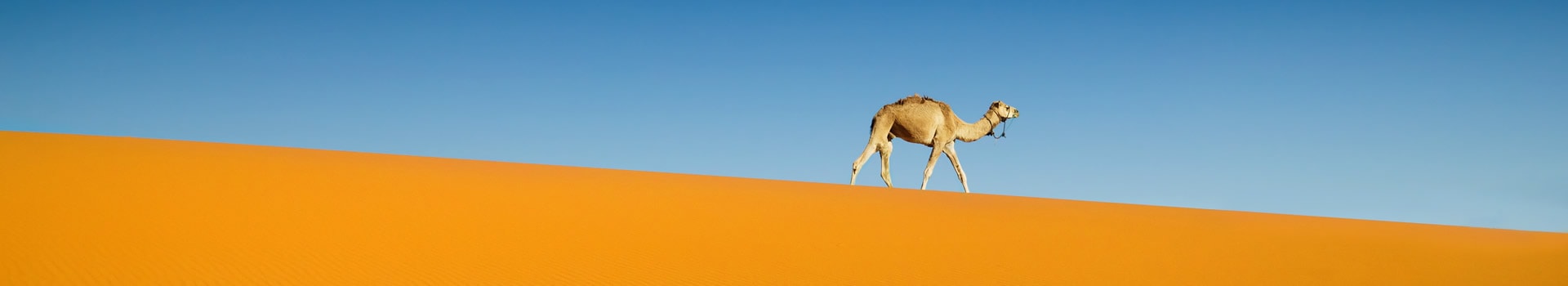 Ofertas de Vuelo+Hotel a **Zagora**