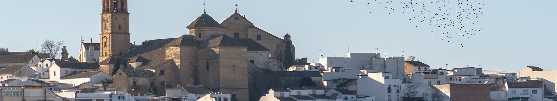 Ofertas de Vuelo+Hotel a **Montilla**