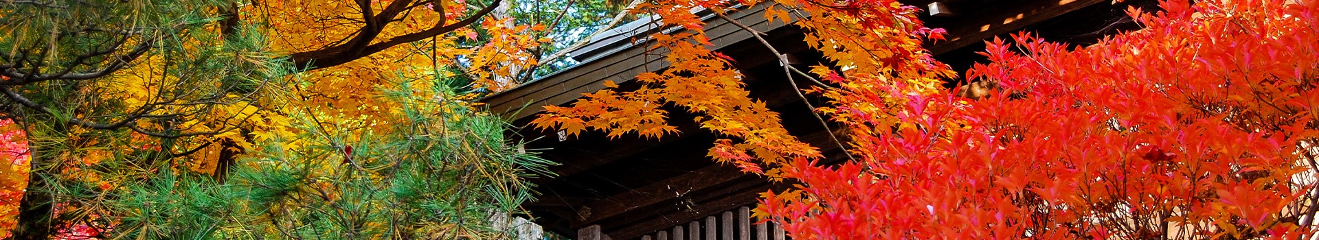 Tours Takayama