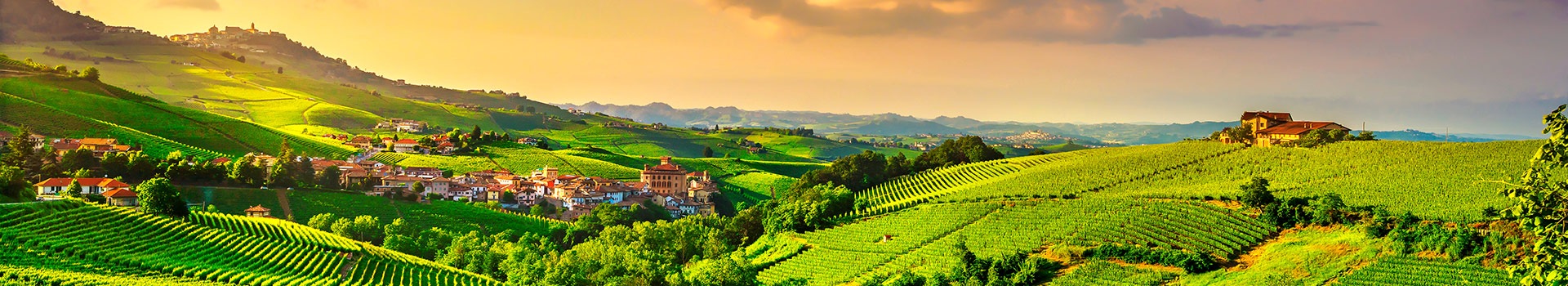 Viajes a **Barolo**