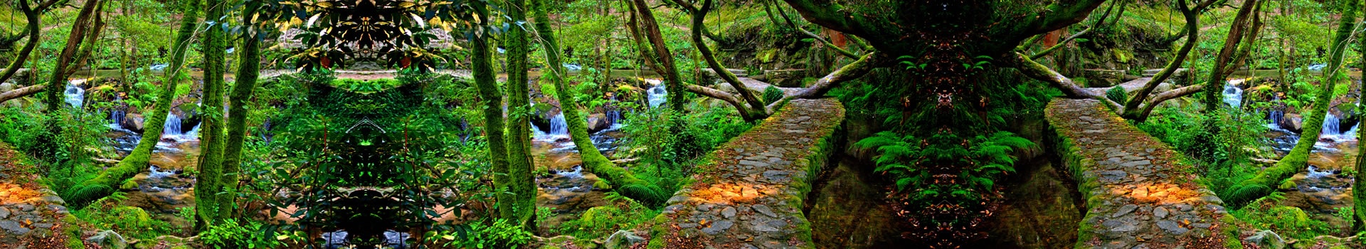 Viajes a **Salnés**