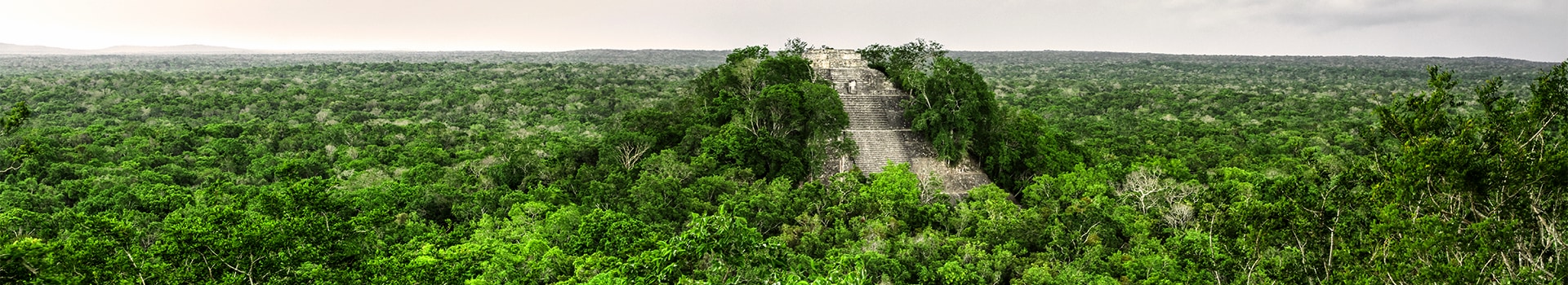 Viajes a **Reserva de la Biosfera Calakmul**