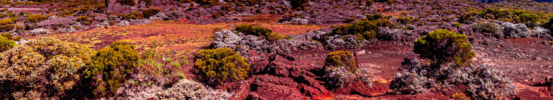 Viajes a **Piton de la Fournaise**