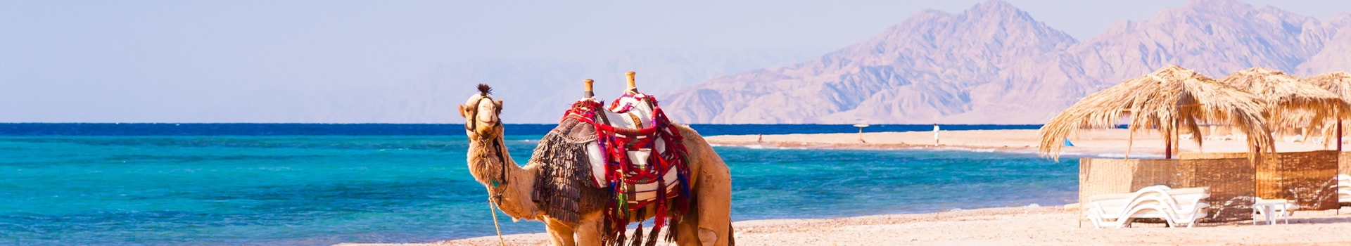 Ofertas de Vuelo+Hotel a **Hurghada**