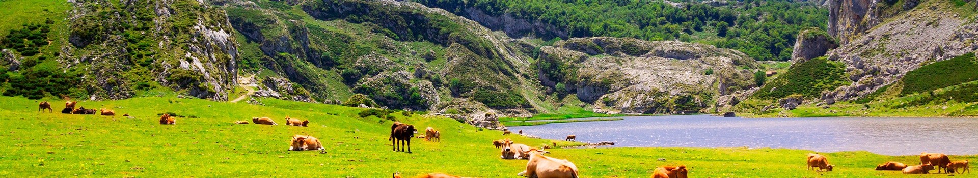 Tours Asturias