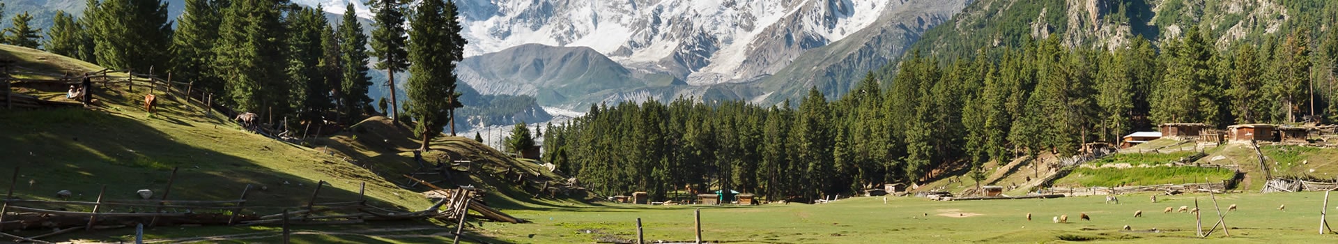Viajes a **Pakistán**