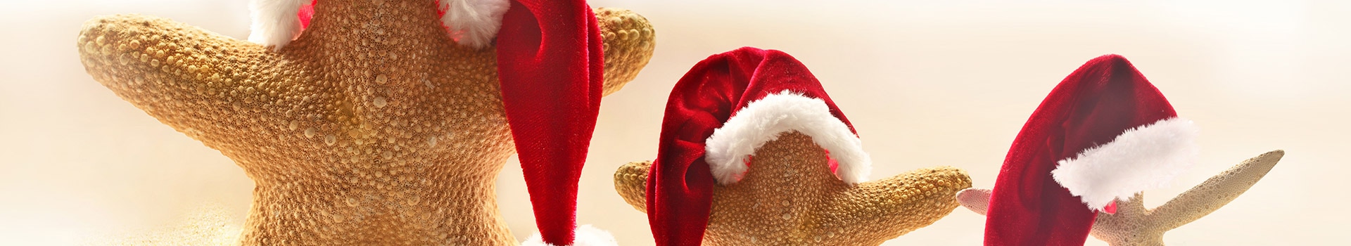 Navidad y Año Nuevo