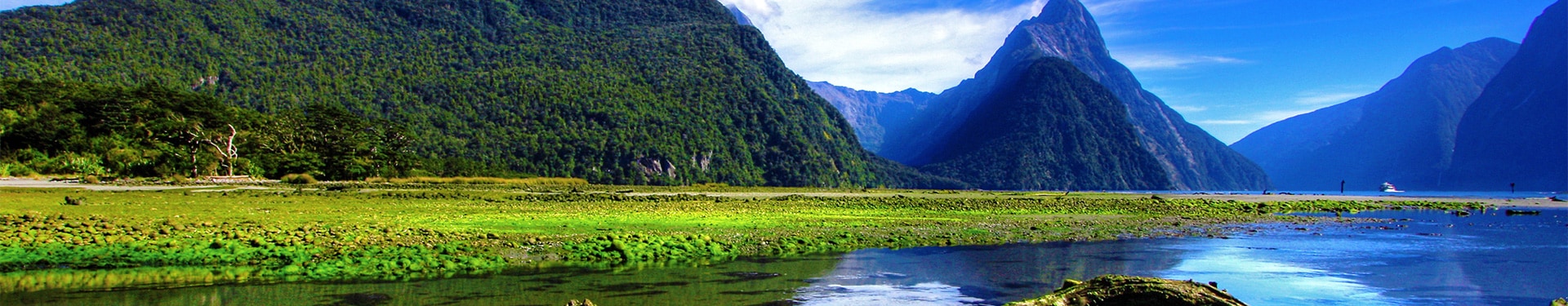 Ruta por la Isla Norte