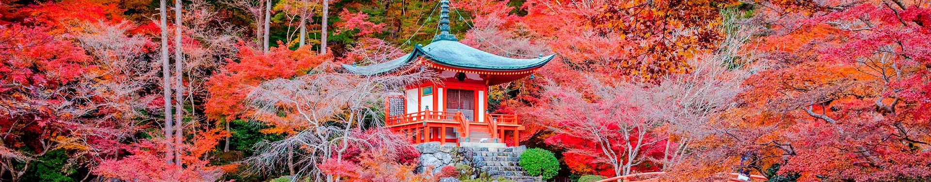 Tokio, Fuji, Kioto y Japón Central