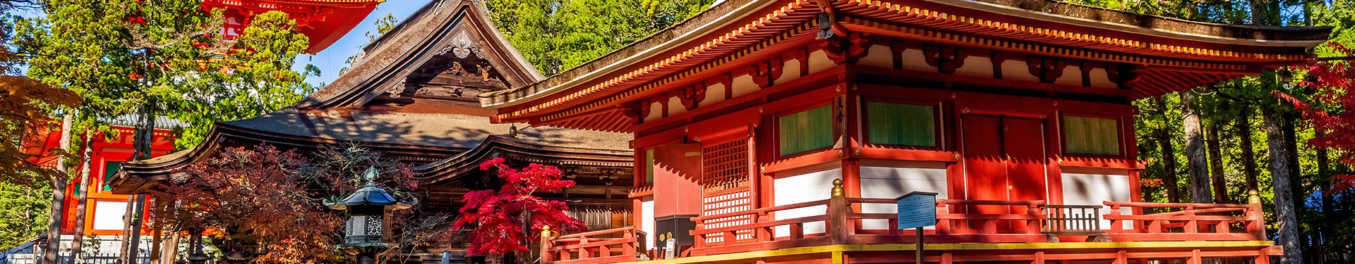 De Norte a Sur con Ise, Toba, Kumano y Koyasan
