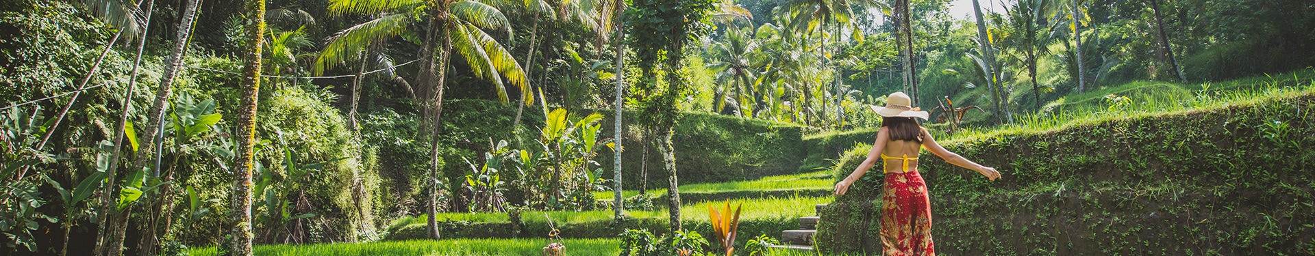 Singapur, Lovina, Candidasa, Ubud e Islas Gili