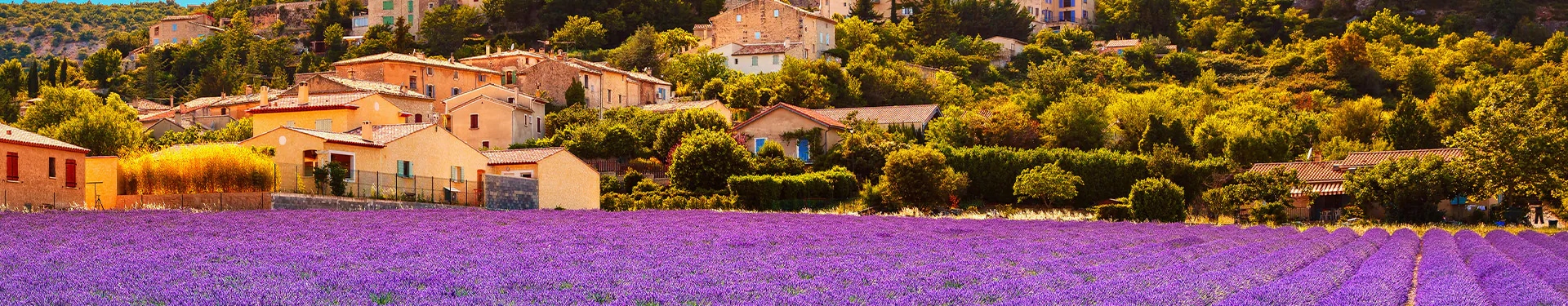 Ruta de la Lavanda por la Provenza y la Riviera Francesa