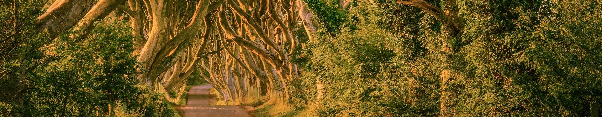 Ruta de Juego de Tronos por Irlanda