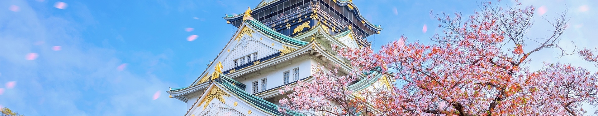 Osaka, Kioto, Tokio, Phuket y Phi Phi
