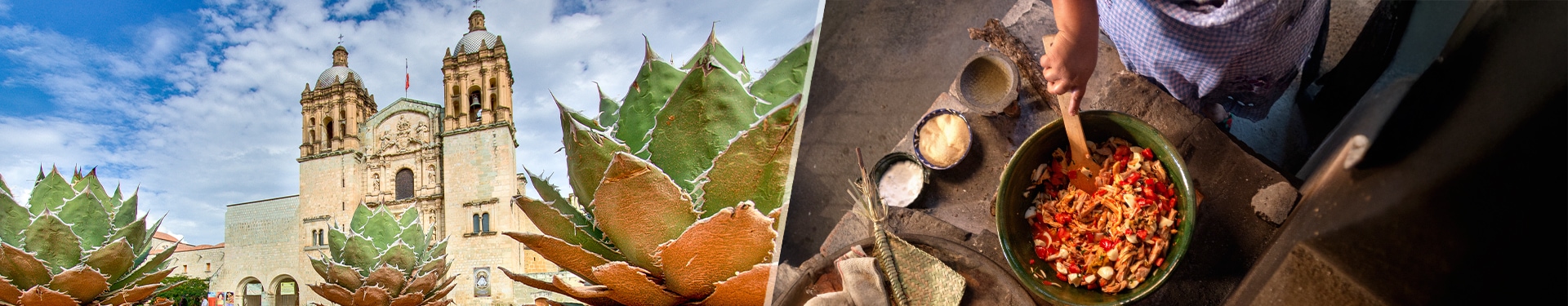 Oaxaca gastronómico y cata de mezcal