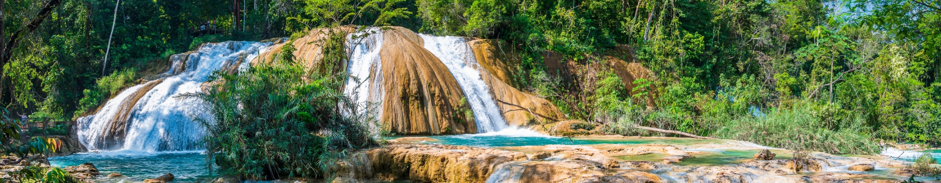 Chiapas Único 6 días