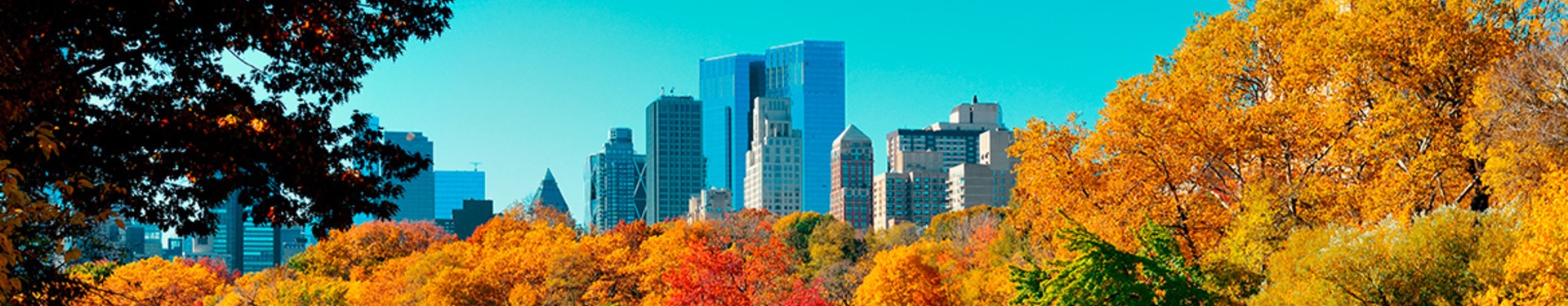 Nueva York, Cataratas del Niágara, Toronto, Nueva Jersey y Washington