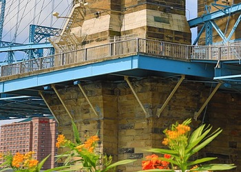Cincinnati - Oh