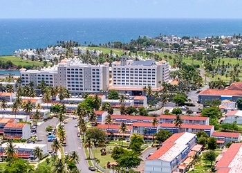 Dorado