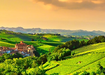 Barolo