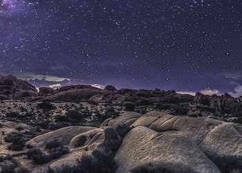 Joshua Tree - Ca