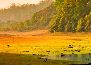 Periyar