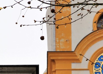 Neuzelle