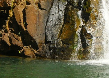 Waimea