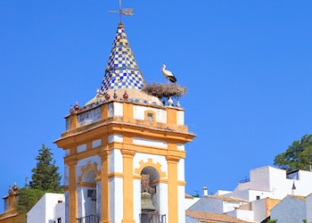 Prado Del Rey