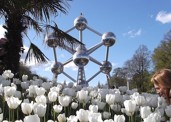 Bruselas