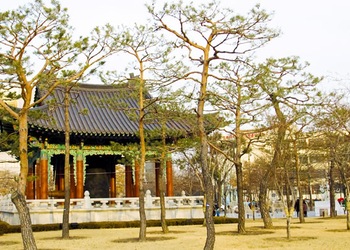 Daegu