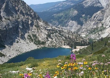 Parque Nacional Secuoya - Ca